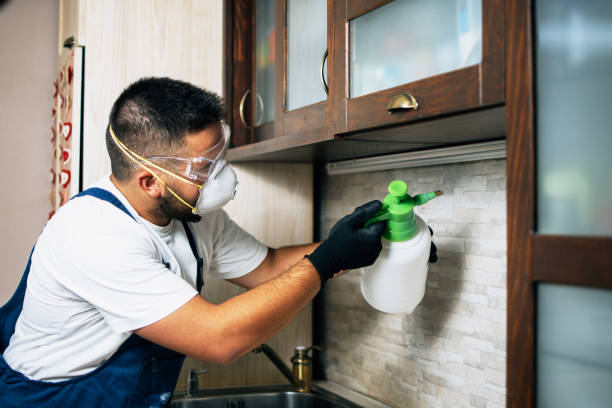 Best Pest Removal Services  in Progreso, TX