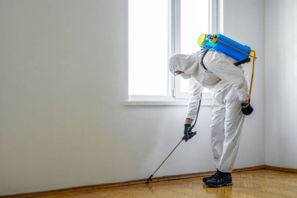 Professional Pest Control in Progreso, TX