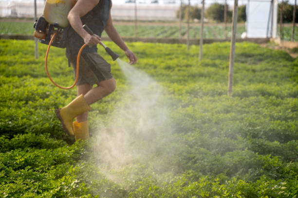  Progreso, TX Pest Control Pros