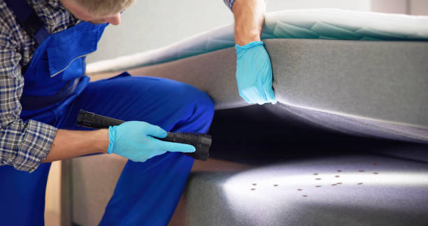 Pest Prevention Services in Progreso, TX