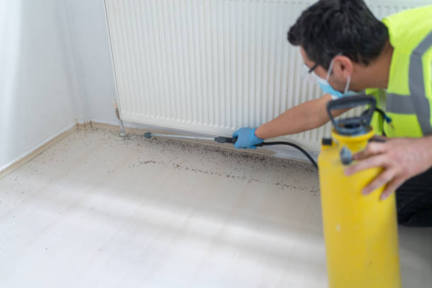 Best Affordable Pest Control Services  in Progreso, TX