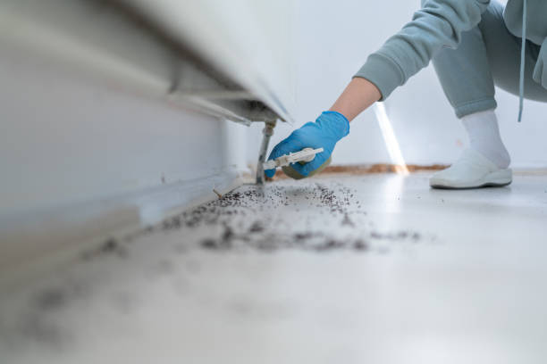 Best Residential Pest Control  in Progreso, TX