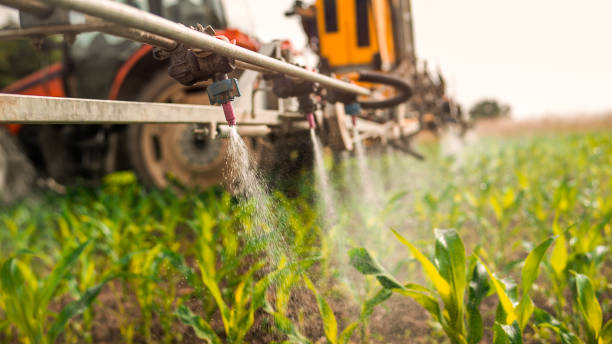 Pest Control Cost in Progreso, TX